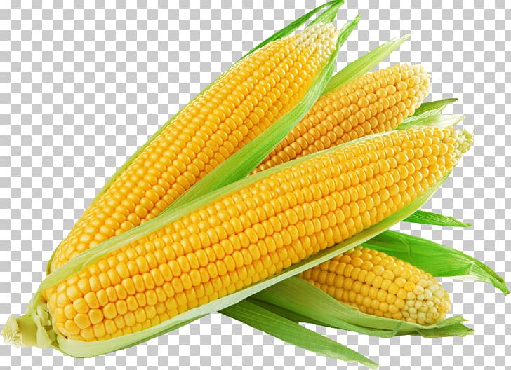 Corn On The Cob Sweet Corn Maize Baked Potato 1st Choice Fruit & Veg PNG, Clipart, 1st, 1st Choice Fruit Veg, Amp, Baby Corn, Baked Potato Free PNG Download