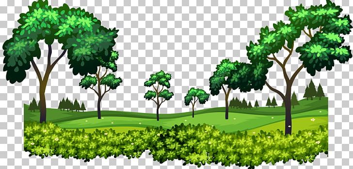 Forest Vecteur PNG, Clipart, Biome, Branch, Conifer, Download, Drawing Free PNG Download
