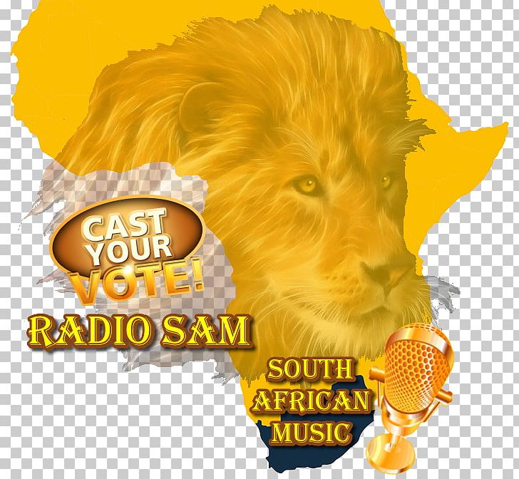 Lion Cat Microphone PNG, Clipart, Animals, Arno Botha, Big Cat, Big Cats, Carnivoran Free PNG Download
