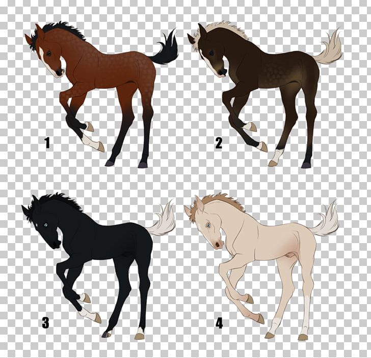 Mustang Foal Mane Mare Stallion PNG, Clipart,  Free PNG Download