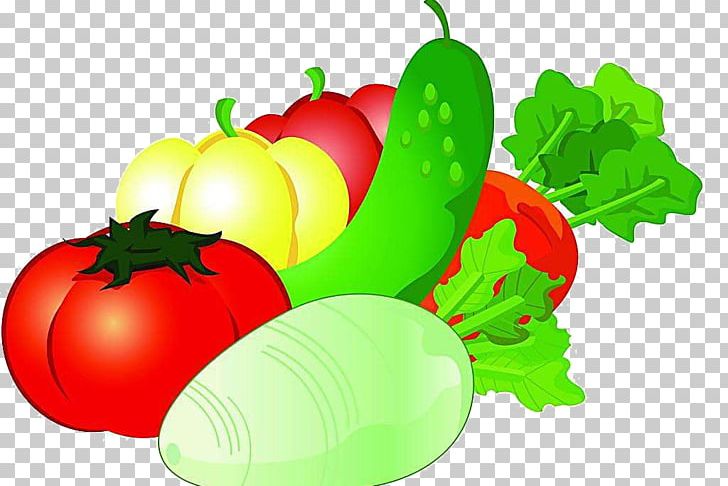 Vegetable Auglis Cartoon PNG, Clipart, Apple, Apple Fruit, Auglis, Cartoon, Cucumber Free PNG Download
