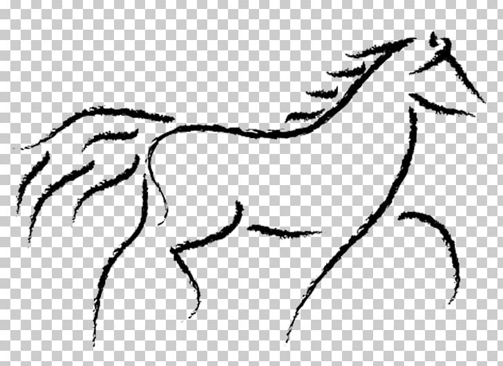 American Quarter Horse Arabian Horse Drawing Canter And Gallop PNG, Clipart, American Quarter Horse, Carnivoran, Collection, Fauna, Fictional Character Free PNG Download