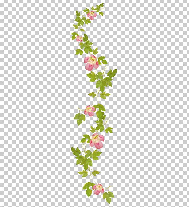 Floral Design Flower Drawing PNG, Clipart, Branch, Cut Flowers, Drawing, Flora, Floral Design Free PNG Download