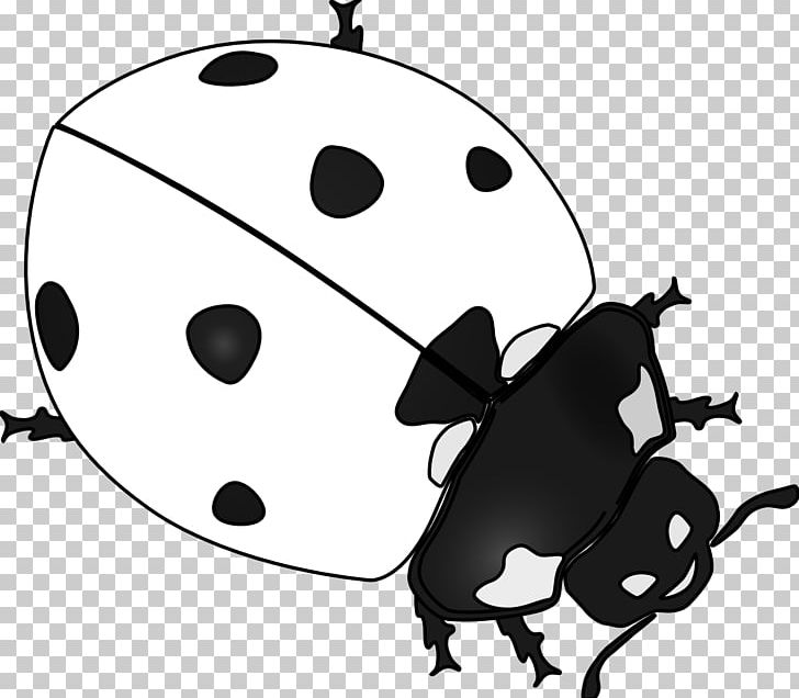 Ladybird Beetle Drawing PNG, Clipart, Arthropod, Beetle, Black, Black And White, Bug Cliparts Black Free PNG Download