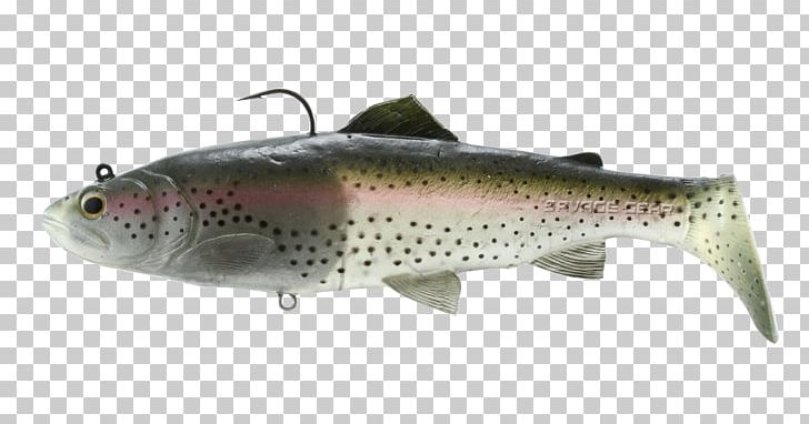 Trout Fishing Baits & Lures Soft Plastic Bait PNG, Clipart, Amp, Baits, Bony Fish, Fish, Fishing Free PNG Download