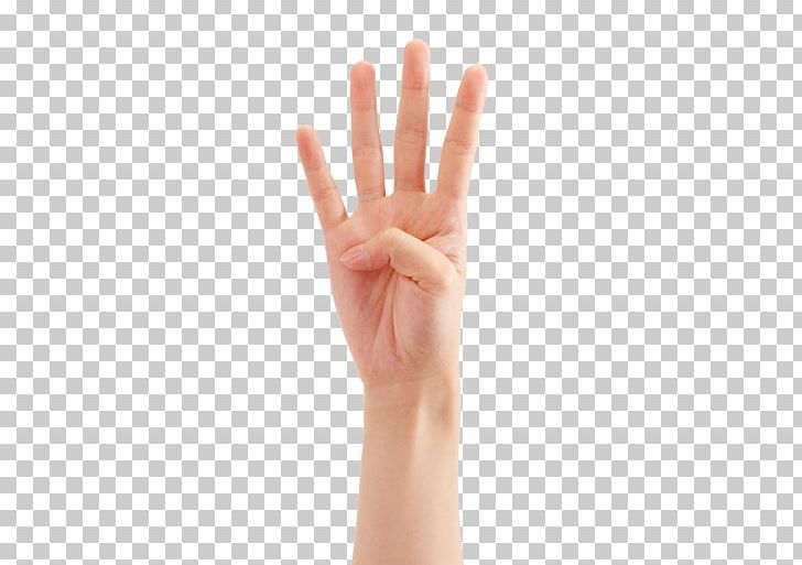 Thumb Hand Model PNG, Clipart, Arm, Finger, Finger Click, Finger Pointing, Fingers Free PNG Download