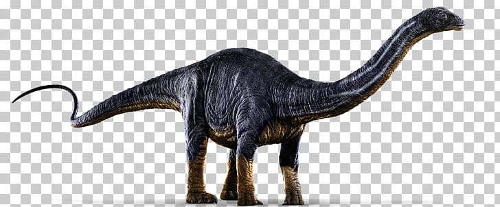 Apatosaurus Brachiosaurus Diplodocus Tyrannosaurus Jurassic Park: The Game PNG, Clipart, Animal Figure, Apatosaurus, Brachiosaurus, Dinosaur, Extinction Free PNG Download