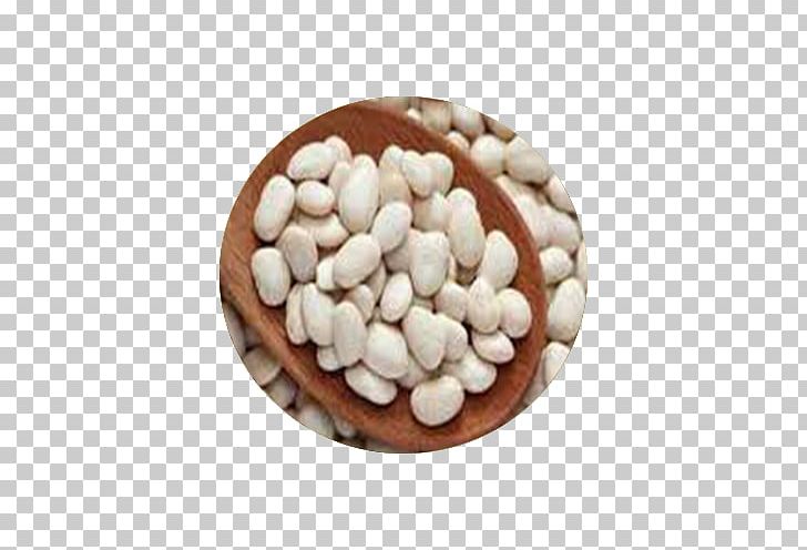 Lima Bean Navy Bean Kidney Bean Legume PNG, Clipart, Bean, Bean Salad, Cereal, Chickpea, Chili Con Carne Free PNG Download