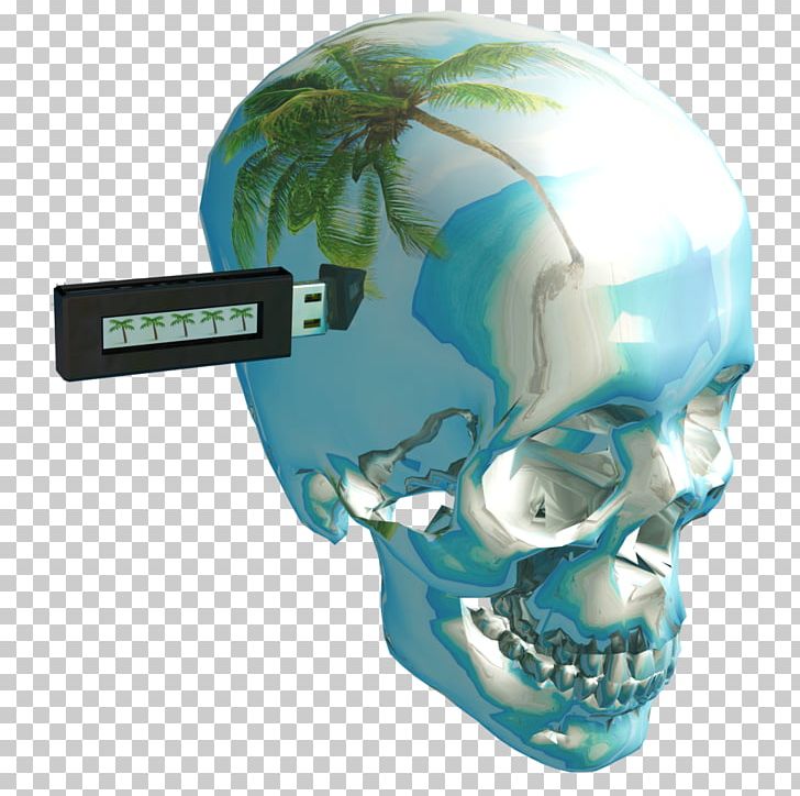 Sticker Vaporwave Drawing Adobe Flash Player PNG, Clipart, Adobe Flash Player, Bone, Drawing, Jaw, Miscellaneous Free PNG Download