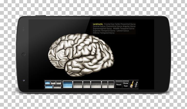 Brain Computer Software Sound Compton Publishing PNG, Clipart, Android, Apk, Aspect, Brain, Cerebrum Free PNG Download