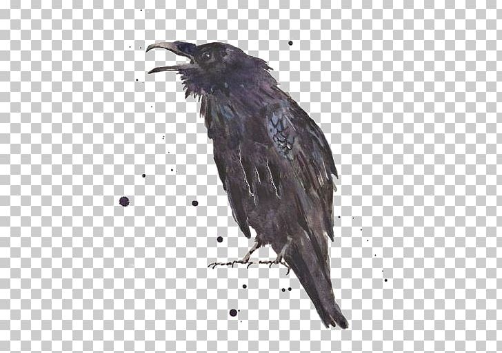 Common Raven The Raven Art Printmaking PNG, Clipart, American Crow, Animals, Artist, Beak, Bird Free PNG Download