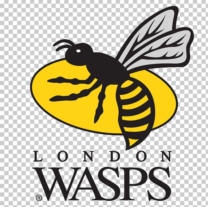 Wasps RFC Ricoh Arena London Irish Gloucester Rugby Worcester Warriors PNG, Clipart, Area, Artwork, Bee, Black And White, Brand Free PNG Download