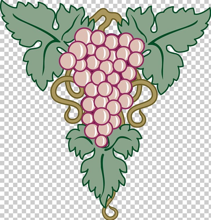 Common Grape Vine Grape Leaves Fruit PNG, Clipart, Auglis, Common Grape Vine, Depositfiles, Drawing, Flower Free PNG Download