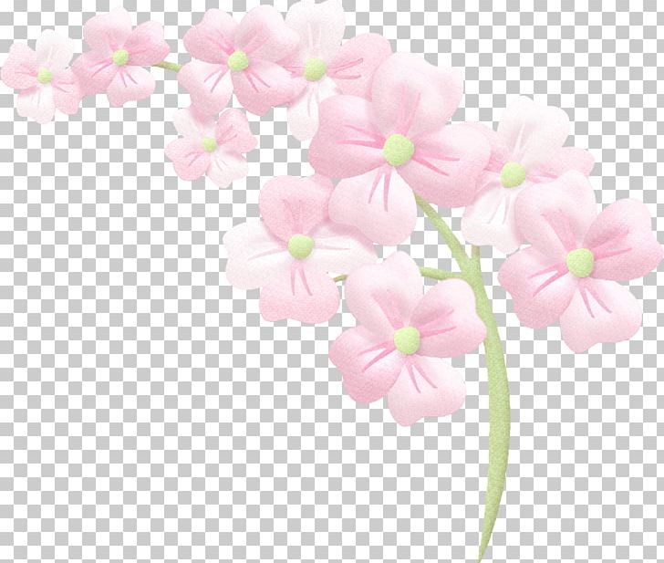 Moth Orchids Cut Flowers Floral Design ST.AU.150 MIN.V.UNC.NR AD PNG, Clipart, Blossom, Branch, Chemical Element, Cherry Blossom, Cut Flowers Free PNG Download