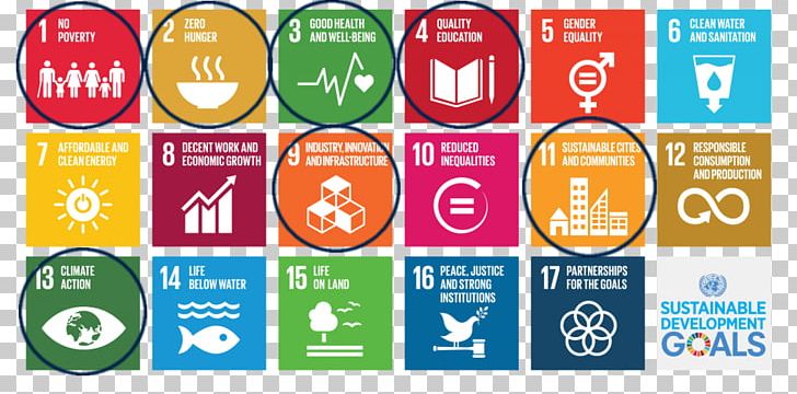 Sustainable Development Goals Sustainability United Nations Global ...