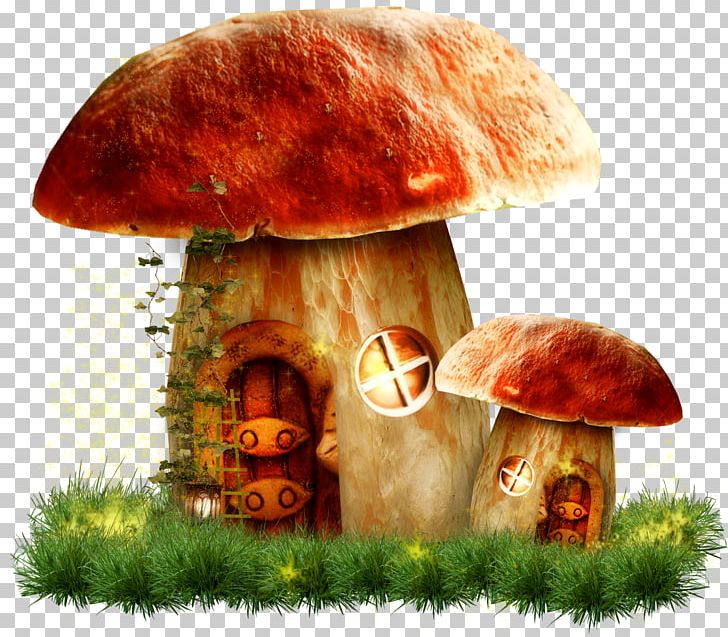 Mushroom PNG, Clipart, Apartment House, Autumn, Child, Childrens, Childrens Story Free PNG Download
