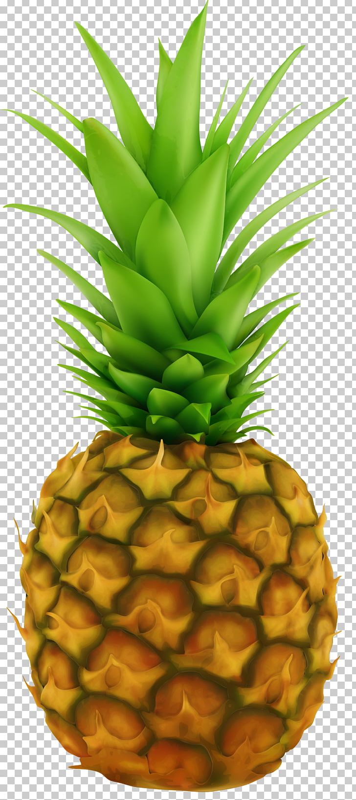 Pineapple Fruit PNG, Clipart, Ananas, Animation, Blog, Bromeliaceae, Computer Icons Free PNG Download
