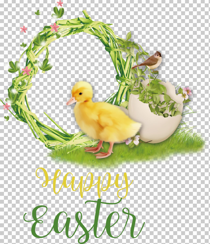 Happy Easter Chicken And Ducklings PNG, Clipart, Beak, Chicken And Ducklings, Duck, Easter Chicks, Happy Easter Free PNG Download