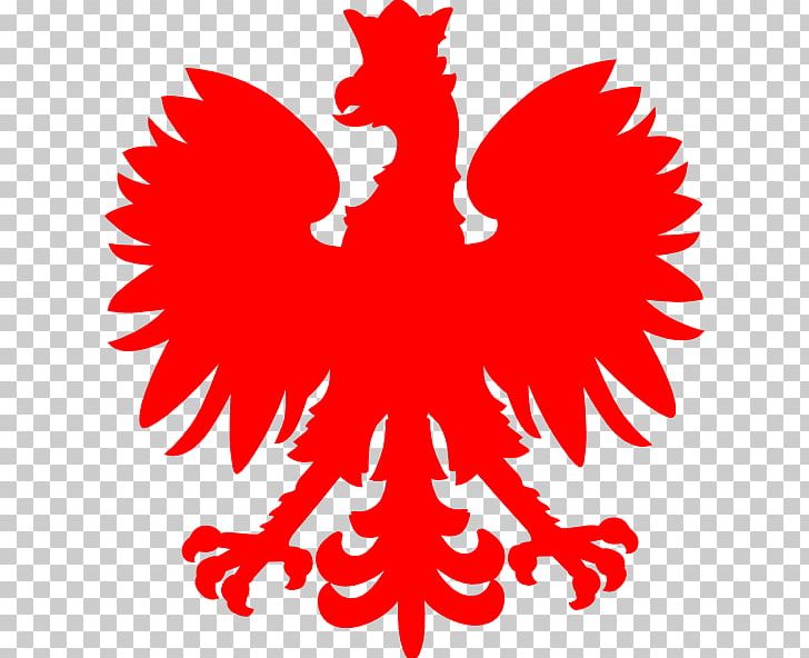Coat Of Arms Of Poland Flag Of Poland PNG, Clipart, Artwork, Beak, Black And White, Chicken, Clip Art Free PNG Download