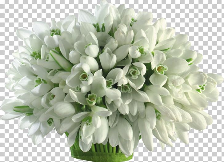 Mărțișor March 1 Girlfriend Snowdrop Love PNG, Clipart, Bouquet Of Flowers, Child, Cut Flowers, Floral Design, Floristry Free PNG Download
