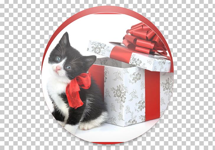 Santa Claus Christmas Gift Christmas And Holiday Season PNG, Clipart, Black And White, Cat Like Mammal, Child, Christmas Card, Christmas Decoration Free PNG Download