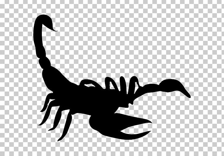 Scorpion Computer Icons Symbol PNG, Clipart, Arachnid, Artwork, Beak, Black And White, Computer Icons Free PNG Download