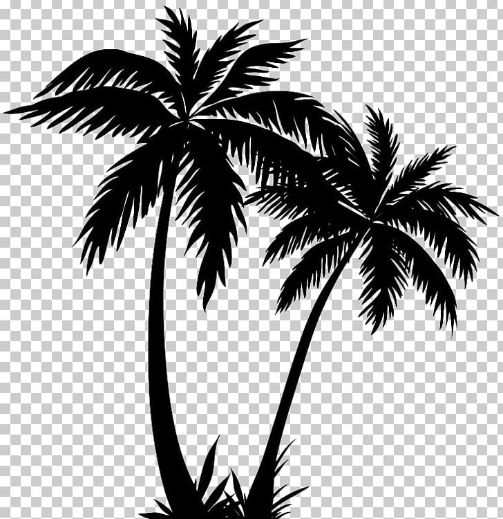 Silhouette Palm Trees Drawing Graphics PNG, Clipart, Animals, Arecales, Black And White, Borassus Flabellifer, Branch Free PNG Download