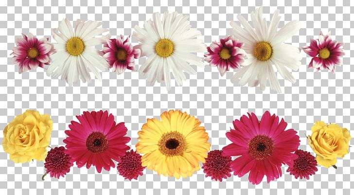 Chrysanthemum PNG, Clipart, Annual Plant, Artificial Flower, Black White, Borders, Dahlia Free PNG Download