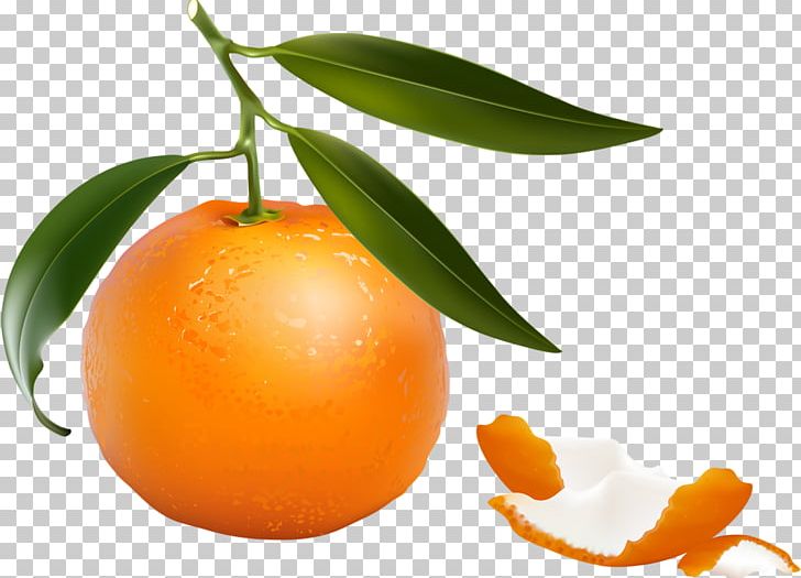 Clementine Tangerine Mandarin Orange Grapefruit Tangelo PNG, Clipart, Bitter Orange, Citric Acid, Citrus, Clementine, Diet Food Free PNG Download