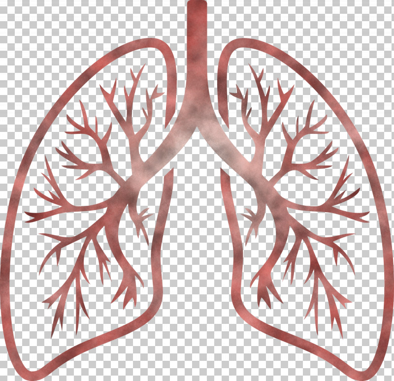 Lungs COVID Corona Virus Disease PNG, Clipart, Branch, Corona Virus Disease, Covid, Footwear, Leaf Free PNG Download