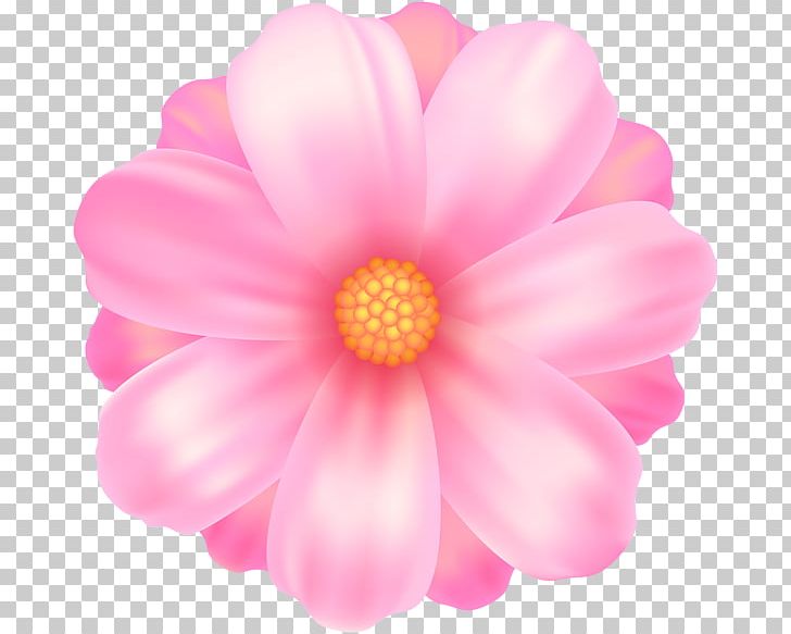 Drawing PNG, Clipart, Annual Plant, Art, Blog, Dahlia, Daisy Family Free PNG Download