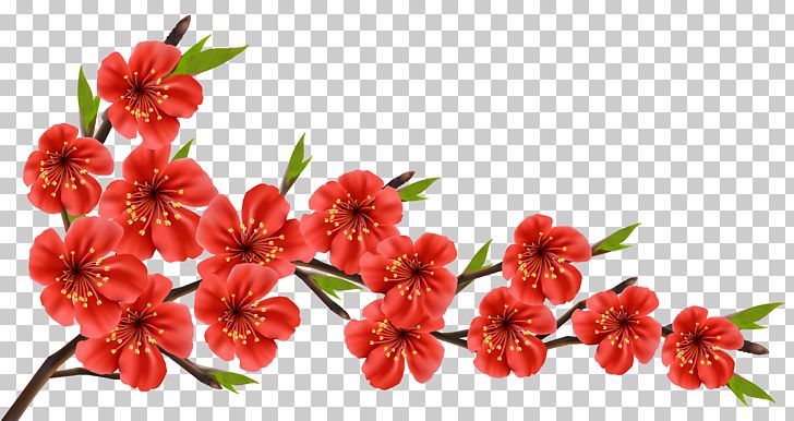 Flowery Branch PNG, Clipart, Blossom, Branch, Cherry Blossom, Clipart, Clip Art Free PNG Download