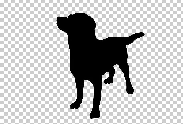 How Dogs Learn Pet Sitting Puppy Cat PNG, Clipart, Animals, Apk, App, Attack Dog, Bark Free PNG Download