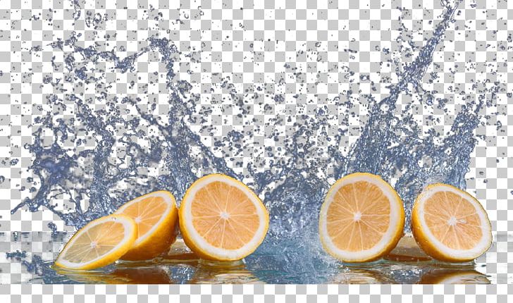 Lemon Citrus Xd7 Sinensis Orange Tangerine Grapefruit PNG, Clipart, Art, Citric Acid, Citrus, Citrus Xd7 Sinensis, Encapsulated Postscript Free PNG Download