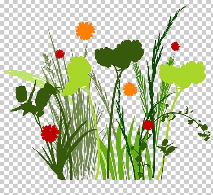 Plant Stem Grass Annual Plant PNG, Clipart, Annual Plant, Architectural Rendering, Computer Graphics, Computer Icon, Daisy Free PNG Download