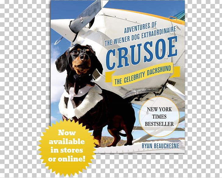 Crusoe PNG, Clipart, Advertising, Amazoncom, Author, Bestseller, Book Free PNG Download