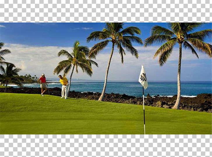 Hilton Waikoloa Village Hilton Hawaiian Village Waikiki Beach Resort Kings' Land By Hilton Grand Vacations PNG, Clipart,  Free PNG Download