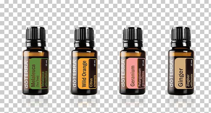 DoTerra Bergamot Essential Oil Aromatherapy PNG, Clipart, Aromatherapy, Bergamot Essential Oil, Bergamot Orange, Bottle, Cananga Odorata Free PNG Download