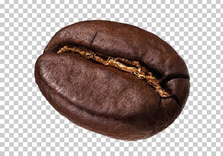 Kona Coffee Cafe Espresso Latte PNG, Clipart, Baseball Equipment, Cafe, Coffee, Coffee Bean, Coffee Bean Tea Leaf Free PNG Download