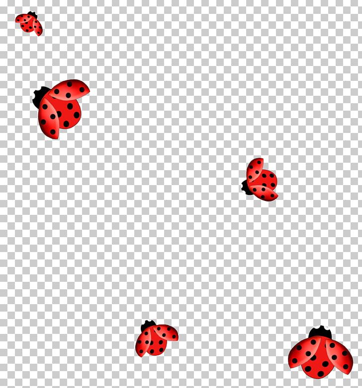 Ladybird PNG, Clipart, Animals, Body Jewelry, Coccinella Septempunctata, Computer Icons, Computer Wallpaper Free PNG Download