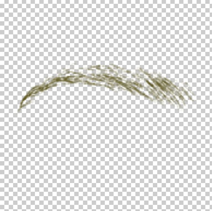 PhotoScape Eyebrow Food Brush PNG, Clipart, Antimatter, Apple, Brush, Caffeine, Color Free PNG Download