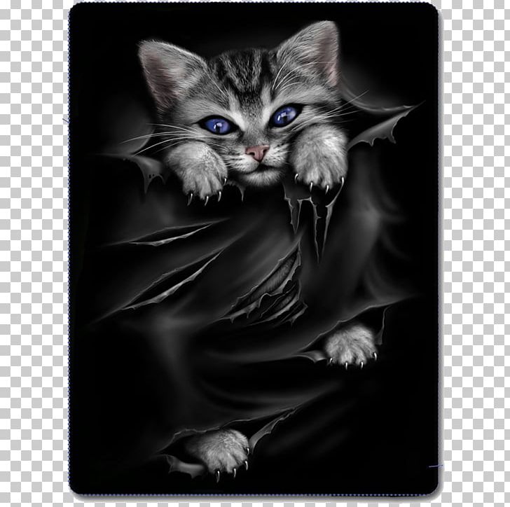Cat Gothic Fashion Kitten T-shirt Clothing PNG, Clipart, Animals, Bag, Black Cat, Blanket, Carnivoran Free PNG Download