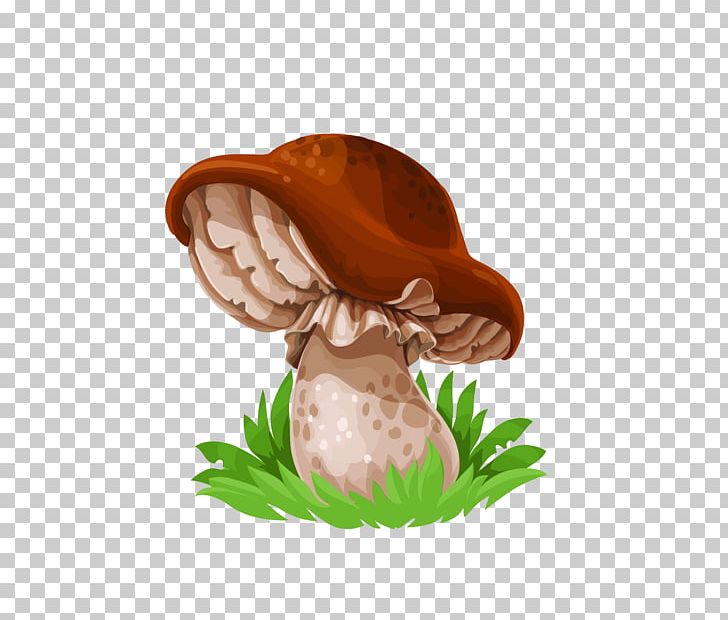 Common Mushroom Drawing Fungus Edible Mushroom PNG, Clipart, Cartoon, Cep, Chanterelle, Common Mushroom, Drawing Free PNG Download