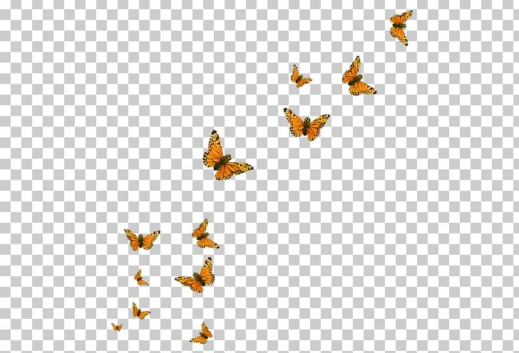 Quotation Drawing Desktop Butterfly PNG, Clipart, Beak, Bird, Black And White, Butterfly, Desktop Wallpaper Free PNG Download