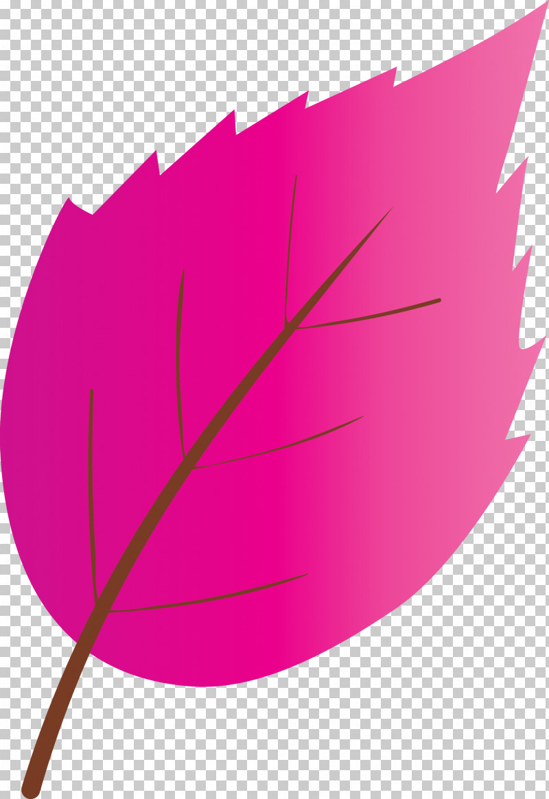 Leaf Pink Magenta Plant Tree PNG, Clipart, Leaf, Line, Magenta, Pink, Plant Free PNG Download