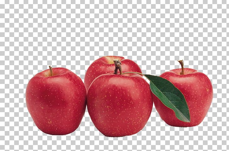 Apple Eating Food Dietary Fiber Pectin PNG, Clipart, Apple, Apple Fruit, Apple Logo, Apple Tree, Cardiovascular Disease Free PNG Download
