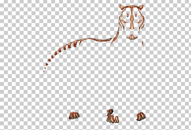 Cat Mammal Whiskers Carnivora Dog PNG, Clipart, Animal, Animal Figure, Animals, Arm, Big Cat Free PNG Download