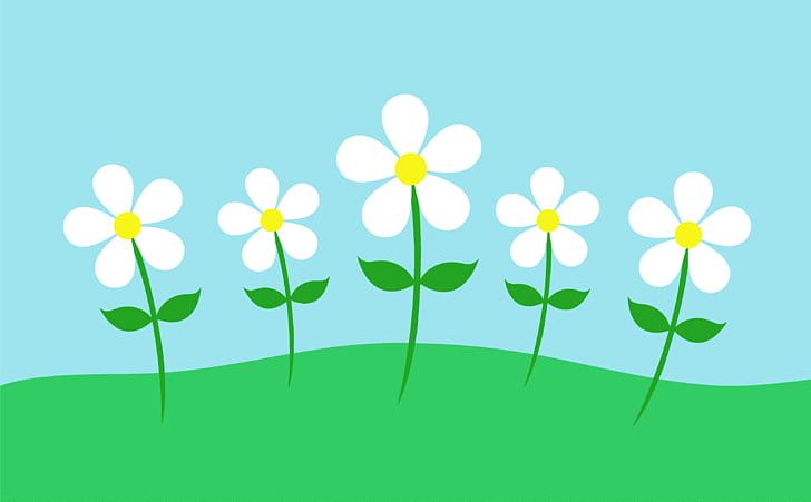 Common Daisy Flower PNG, Clipart, Art, Color, Common Daisy, Computer Wallpaper, Diagram Free PNG Download