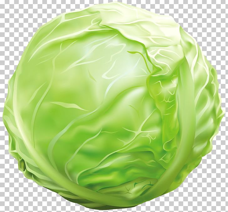 Vegetable Cabbage Lettuce PNG, Clipart, Bell Pepper, Cabbage, Cauliflower, Clip Art, Food Free PNG Download