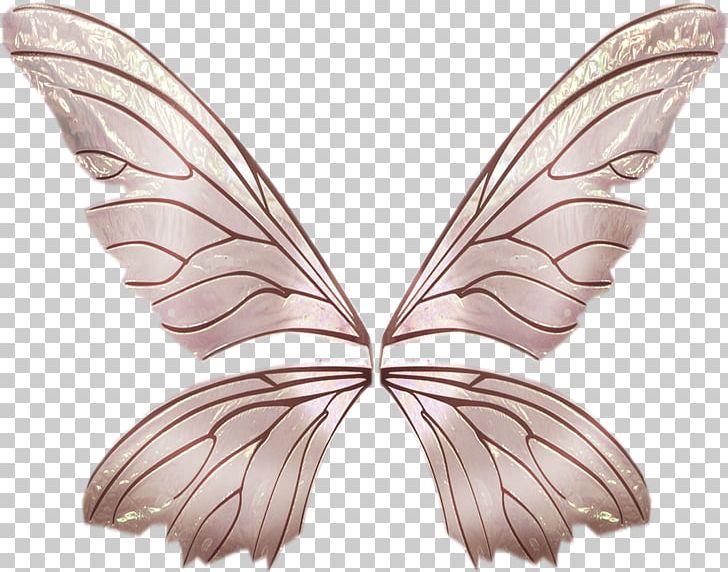 Butterfly Insect Pollinator Moth Invertebrate PNG, Clipart, Bombycidae, Brown, Butterflies And Moths, Butterfly, Insect Free PNG Download